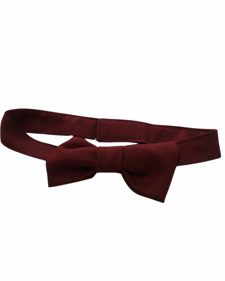 17 GRAVATA BORBOLETA